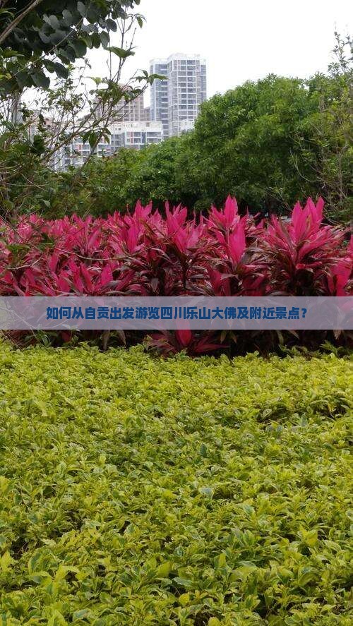 如何从自贡出发游览四川乐山大佛及附近景点？