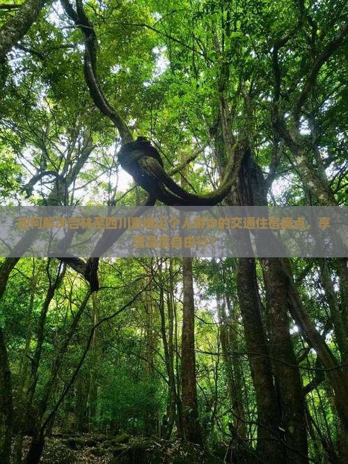 如何解决吉林至四川青城山个人游中的交通住宿痛点，享受品质自由行？