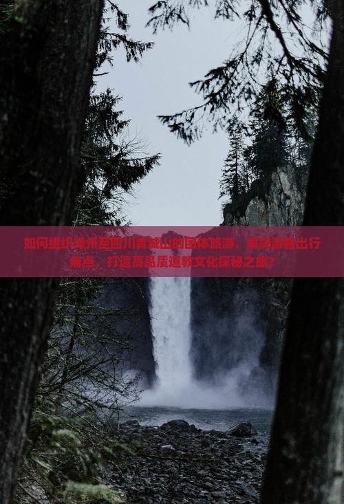 如何组织漳州至四川青城山的团体旅游，解决游客出行痛点，打造高品质道教文化探秘之旅？