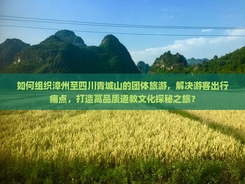 如何组织漳州至四川青城山的团体旅游，解决游客出行痛点，打造高品质道教文化探秘之旅？
