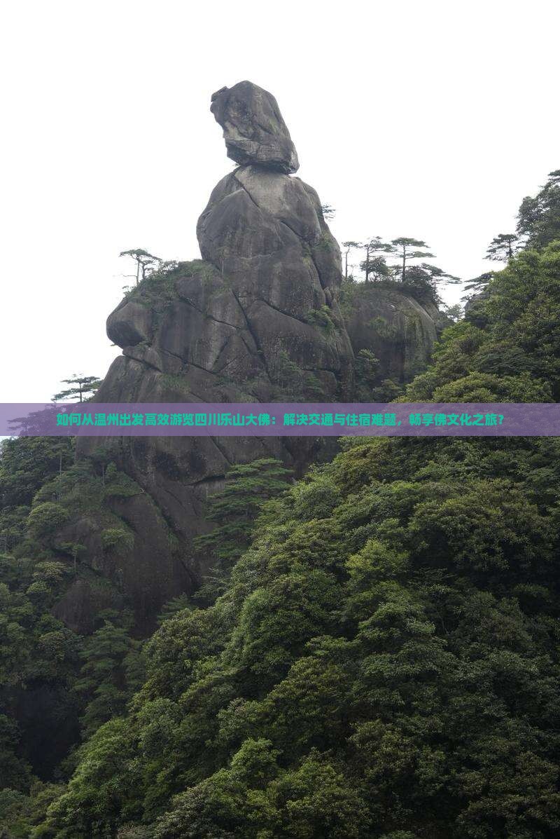 如何从温州出发高效游览四川乐山大佛：解决交通与住宿难题，畅享佛文化之旅？