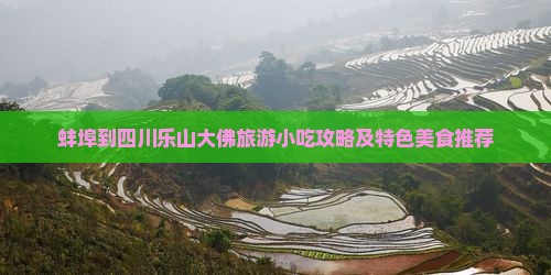 蚌埠到四川乐山大佛旅游小吃攻略及特色美食推荐