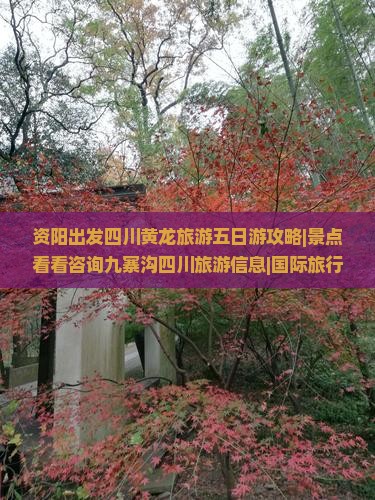 资阳出发四川黄龙旅游五日游攻略|景点看看咨询九寨沟四川旅游信息|国际旅行社推荐成都九寨沟景区旅行