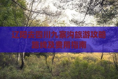 辽阳去四川九寨沟旅游攻略路线及费用指南
