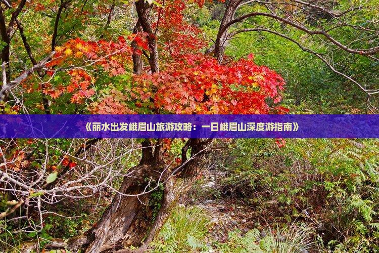 《丽水出发峨眉山旅游攻略：一日峨眉山深度游指南》