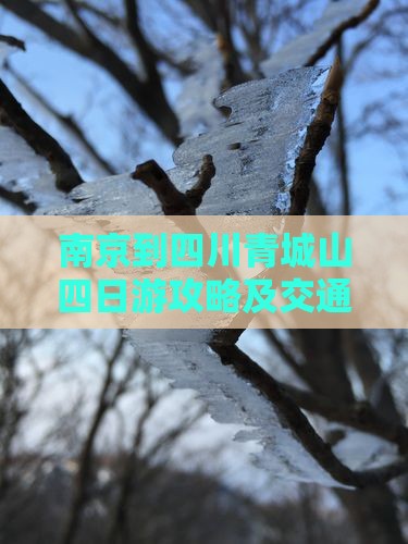 南京到四川青城山四日游攻略及交通费用详解