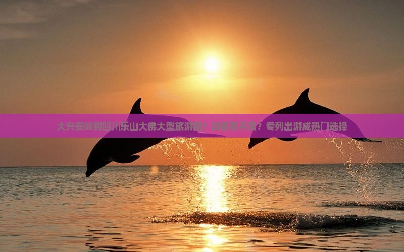 大兴安岭到四川乐山大佛大型旅游团？游客累不累？专列出游成热门选择