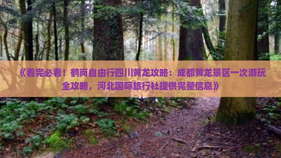 《看完必看！鹤岗自由行四川黄龙攻略：成都黄龙景区一次游玩全攻略，河北国际旅行社提供完整信息》