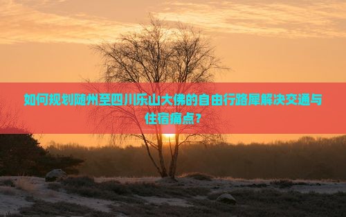 如何规划随州至四川乐山大佛的自由行路犀解决交通与住宿痛点？