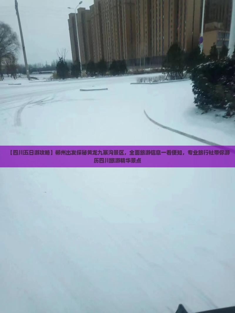 【四川五日游攻略】郴州出发探秘黄龙九寨沟景区，全面旅游信息一看便知，专业旅行社带你游历四川旅游精华景点