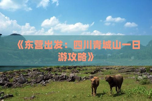 《东营出发：四川青城山一日游攻略》