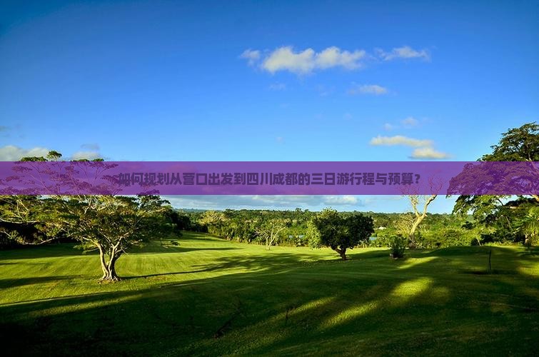 如何规划从营口出发到四川成都的三日游行程与预算？