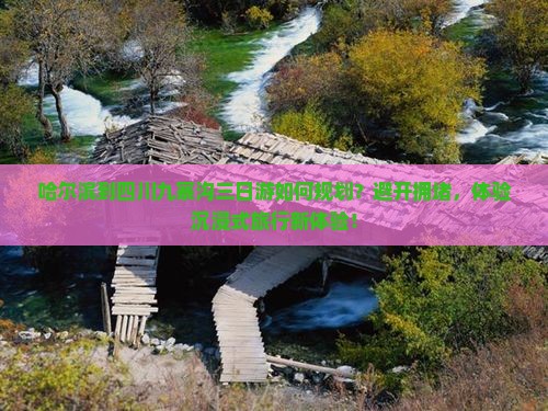 哈尔滨到四川九寨沟三日游如何规划？避开拥堵，体验沉浸式旅行新体验！