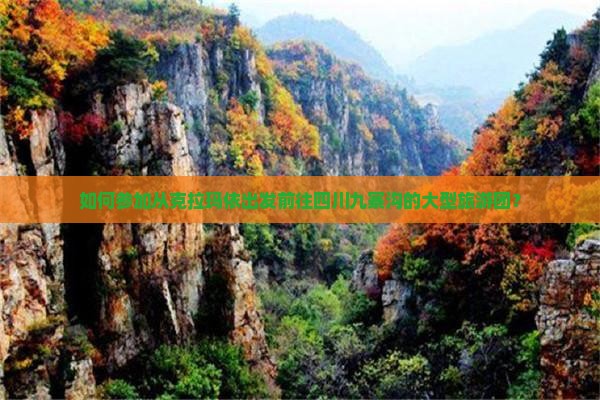 如何参加从克拉玛依出发前往四川九寨沟的大型旅游团？