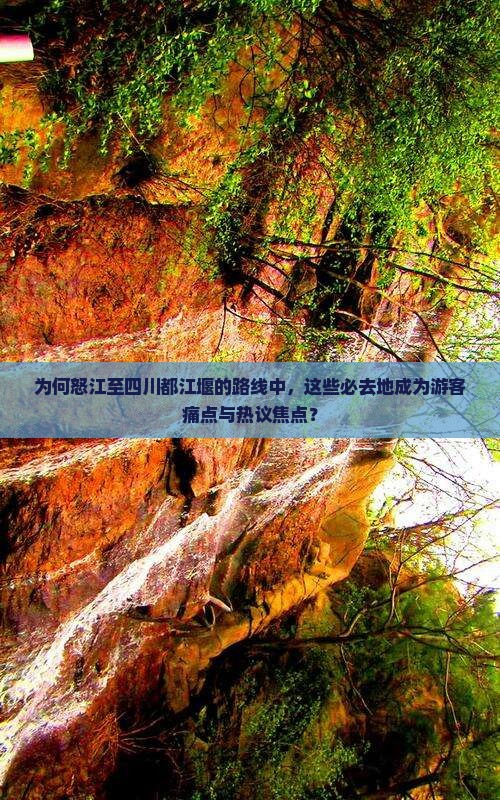 为何怒江至四川都江堰的路线中，这些必去地成为游客痛点与热议焦点？