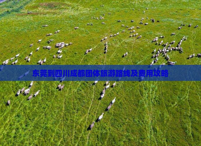 东莞到四川成都团体旅游路线及费用攻略