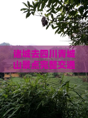 诸城去四川青城山景点完整交通路线及公里数