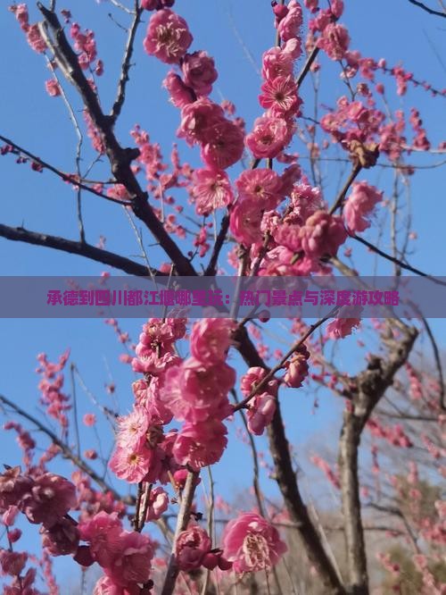 承德到四川都江堰哪里玩：热门景点与深度游攻略