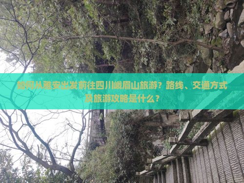 如何从雅安出发前往四川峨眉山旅游？路线、交通方式及旅游攻略是什么？