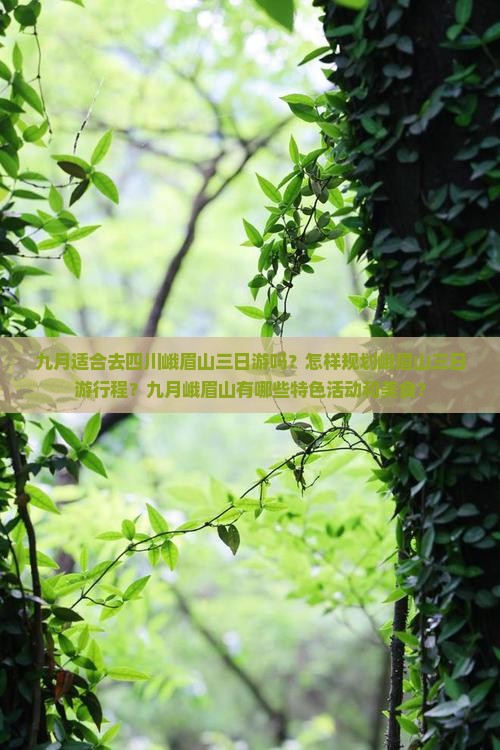 九月适合去四川峨眉山三日游吗？怎样规划峨眉山三日游行程？九月峨眉山有哪些特色活动和美食？
