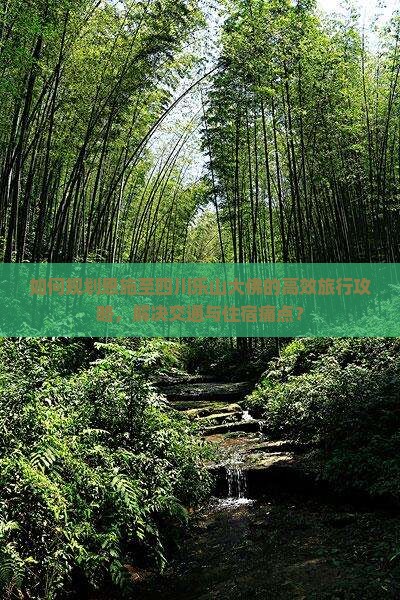 如何规划恩施至四川乐山大佛的高效旅行攻略，解决交通与住宿痛点？