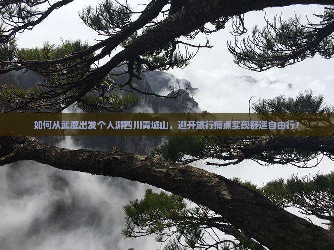 如何从武威出发个人游四川青城山，避开旅行痛点实现舒适自由行？