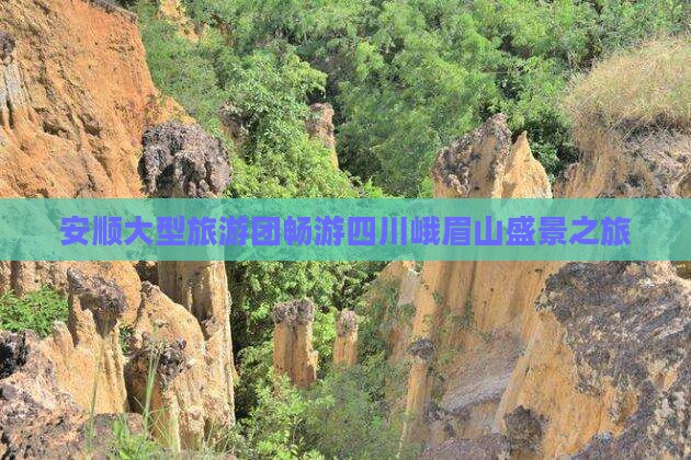 安顺大型旅游团畅游四川峨眉山盛景之旅
