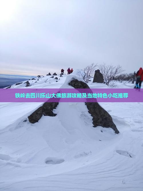 铁岭去四川乐山大佛旅游攻略及当地特色小吃推荐
