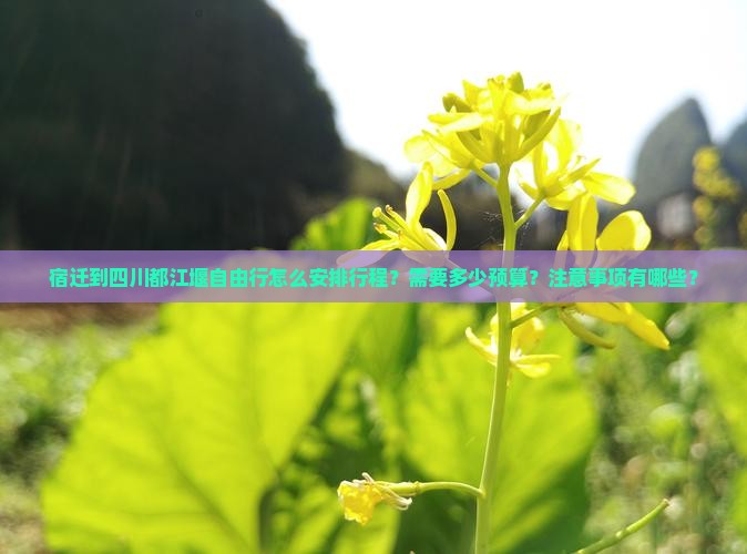 宿迁到四川都江堰自由行怎么安排行程？需要多少预算？注意事项有哪些？