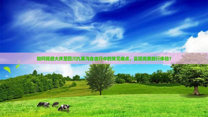如何规避大庆至四川九寨沟自由行中的常见痛点，实现完美旅行体验？