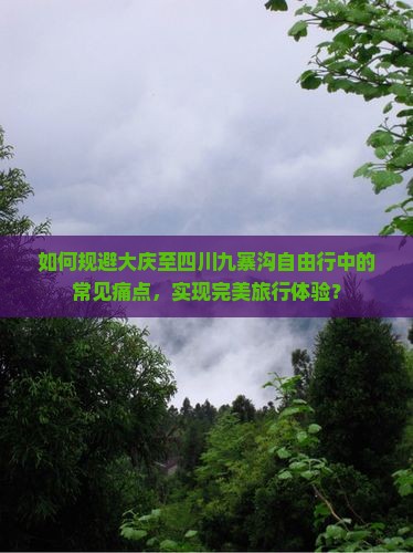 如何规避大庆至四川九寨沟自由行中的常见痛点，实现完美旅行体验？