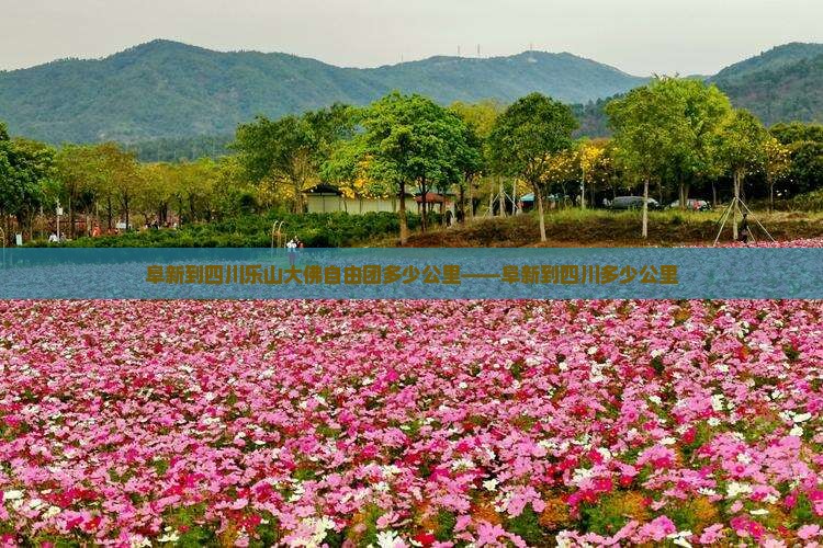 阜新到四川乐山大佛自由团多少公里——阜新到四川多少公里