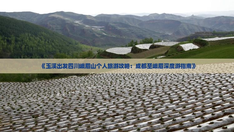 《玉溪出发四川峨眉山个人旅游攻略：成都至峨眉深度游指南》