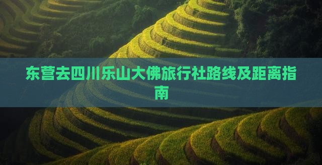 东营去四川乐山大佛旅行社路线及距离指南