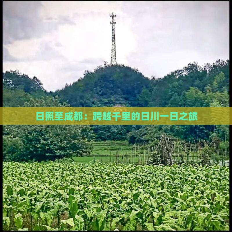 日照至成都：跨越千里的日川一日之旅