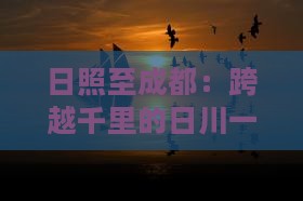日照至成都：跨越千里的日川一日之旅