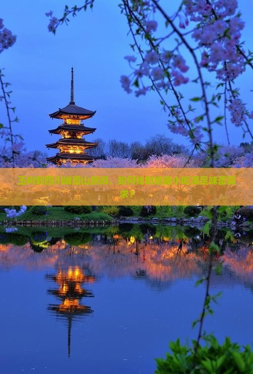 玉树到四川峨眉山旅游，如何找到地道小吃满足味蕾需求？