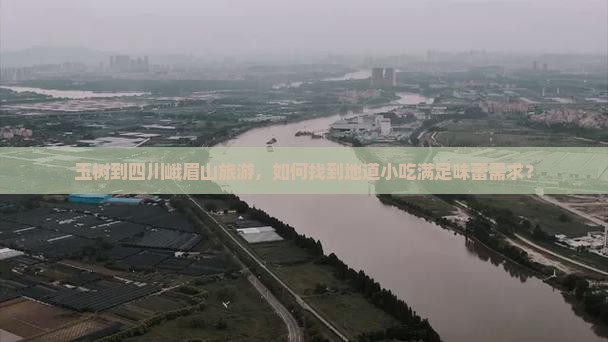 玉树到四川峨眉山旅游，如何找到地道小吃满足味蕾需求？