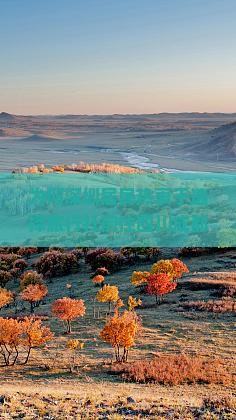 为何深圳居民热衷于选择旅行社前往四川成都？旅游新趋势下的痛点与对病