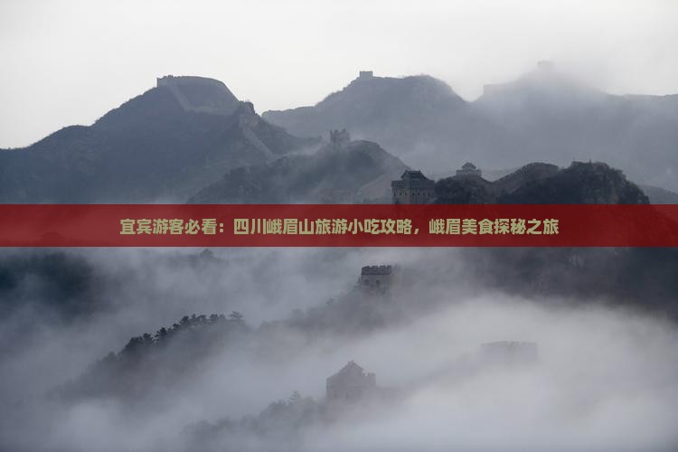 宜宾游客必看：四川峨眉山旅游小吃攻略，峨眉美食探秘之旅