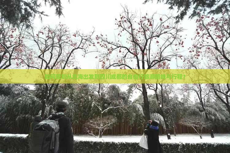 如何规划从北海出发到四川成都的自由行旅游路线与行程？