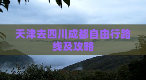 天津去四川成都自由行路线及攻略
