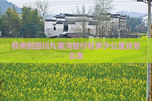 钦州到四川九寨沟旅行社多少公里及怎么走