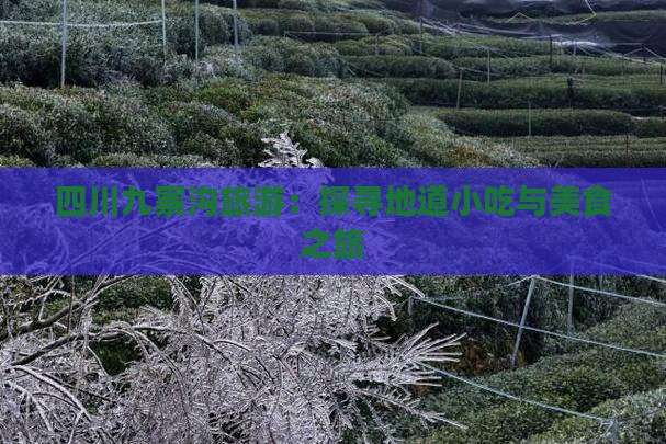 四川九寨沟旅游：探寻地道小吃与美食之旅