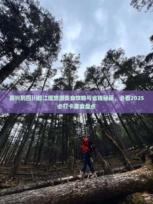 嘉兴到四川都江堰旅游小吃