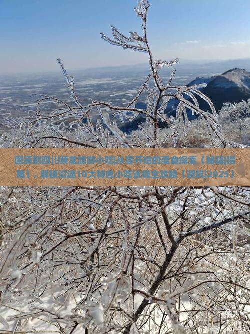 固原到四川黄龙旅游小吃