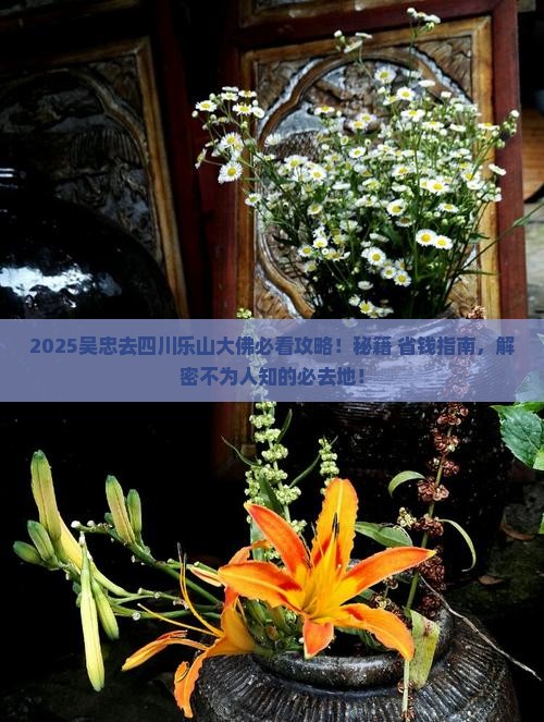 吴忠去四川乐山大佛必去地