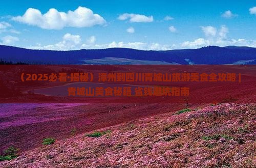 漳州到四川青城山旅游小吃