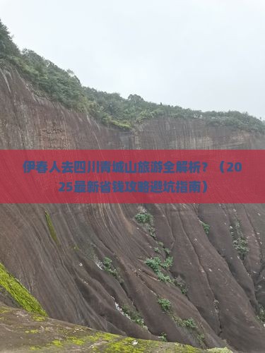 伊春去四川青城山旅游