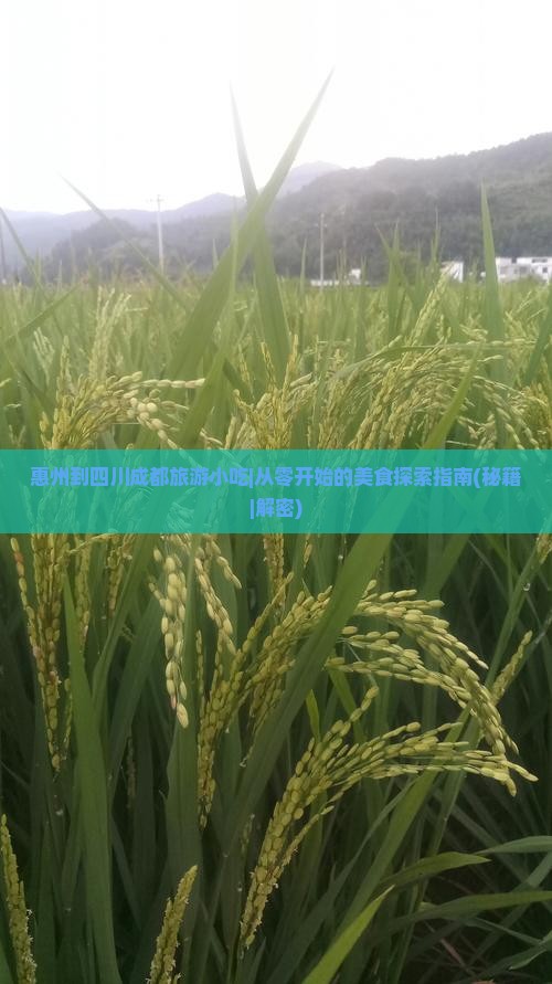 惠州到四川成都旅游小吃